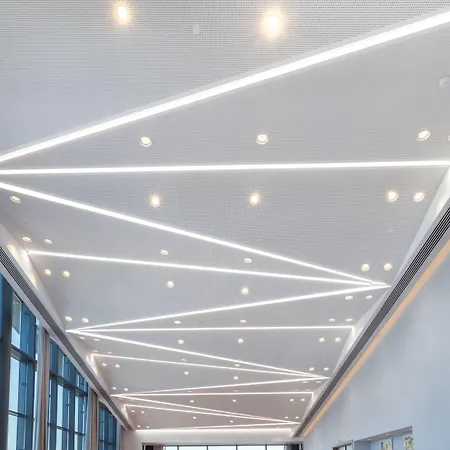 Radisson Blu Hotel, 酒店 拉纳卡